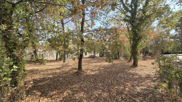 Offres de vente Terrain Le Teich 33470