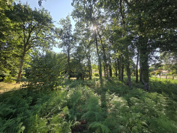 Offres de vente Terrain Le Teich 33470